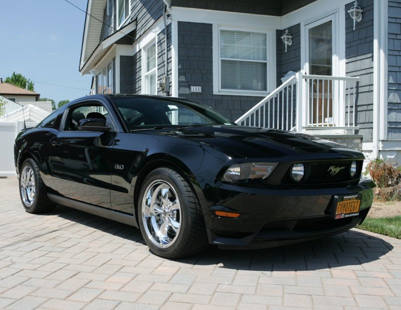 Pony Car 2.jpg