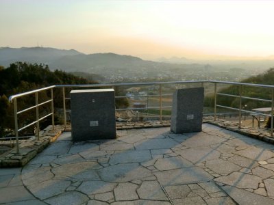 CIMG0503.jpg