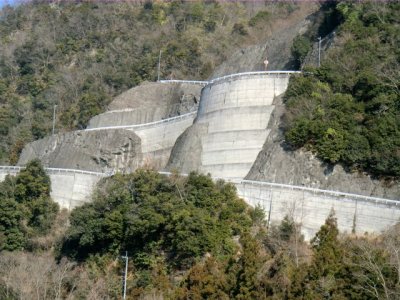 CIMG0530.jpg