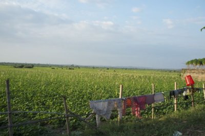 DSCF0176.jpg