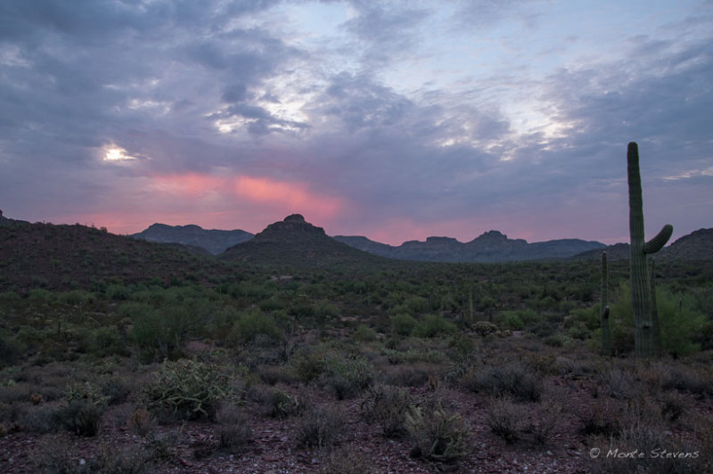 20120821_DSC5867.jpg