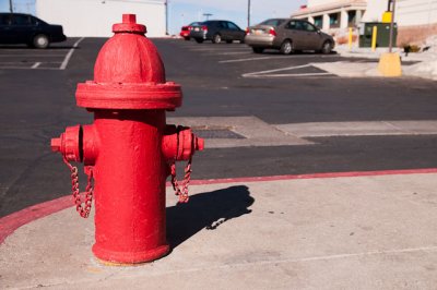 20110221-_DSC8195.jpg