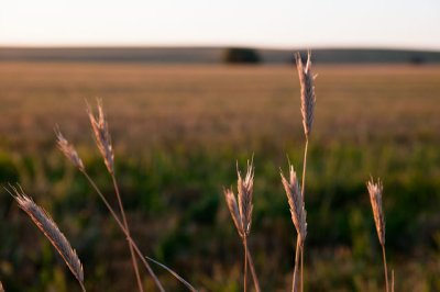 20110805-_DSC1136.jpg