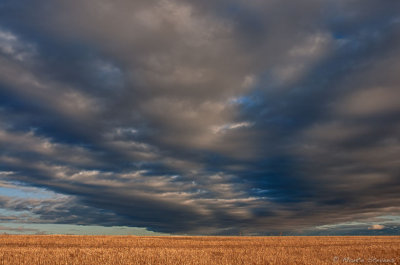 20120127-_DSC4263_HDR.jpg