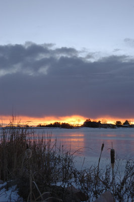 2008-01-07.jpg