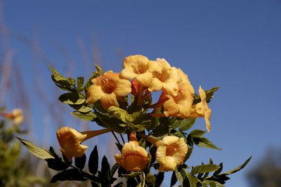 2008-01-17.jpg