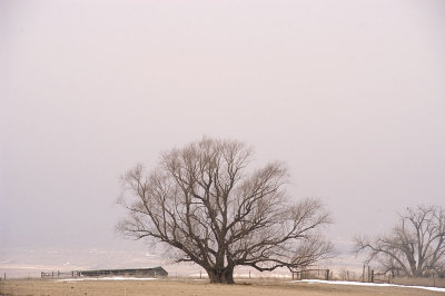 2008-01-19.jpg