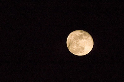 2008-01-23.jpg