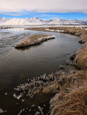Upper Owens River 032111-6_NX2_1000.jpg