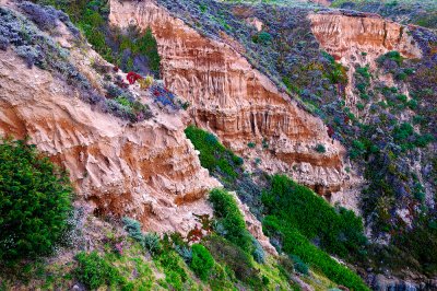 Garrapata_20110814_0003.jpg