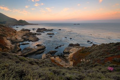 Garrapata_20110814_0005.jpg