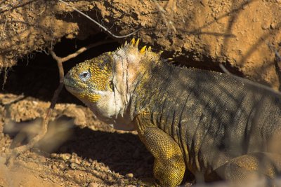 2006 08 10 CerroDragon 0046.JPG