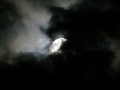 RMNP_July2012 369.JPG