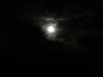 RMNP_July2012 390.JPG