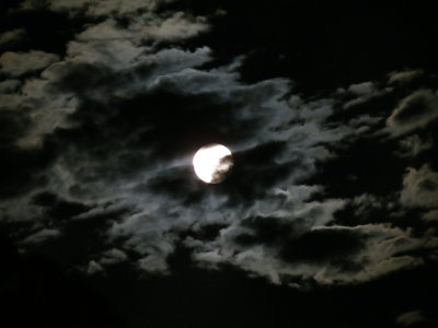 Blue Moon 8_31_12 004.JPG