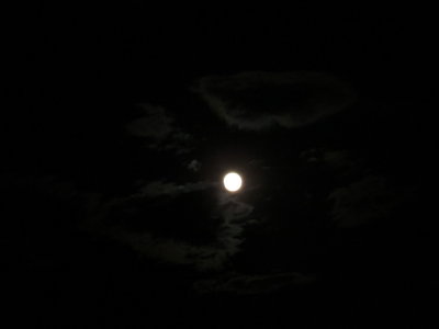 Blue Moon 8_31_12 007.JPG