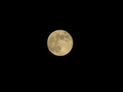Blue Moon 8_31_12 009.JPG