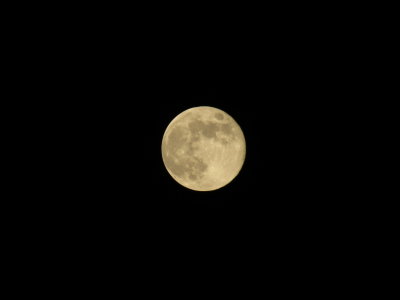 Blue Moon 8_31_12 010.JPG