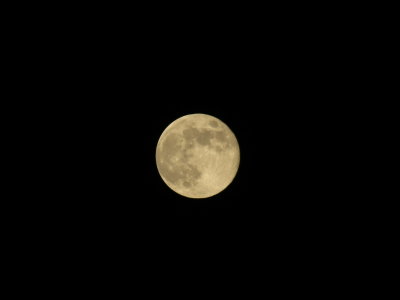 Blue Moon 8_31_12 011.JPG