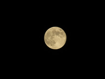 Blue Moon 8_31_12 016.JPG