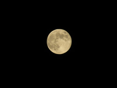 Blue Moon 8_31_12 018.JPG