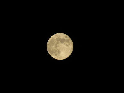 Blue Moon 8_31_12 019.JPG