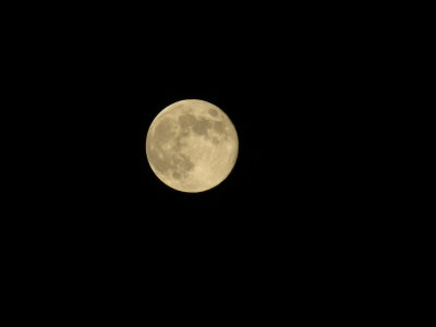 Blue Moon 8_31_12 020.JPG