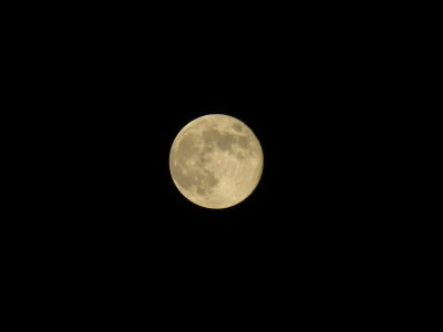 Blue Moon 8_31_12 022.JPG