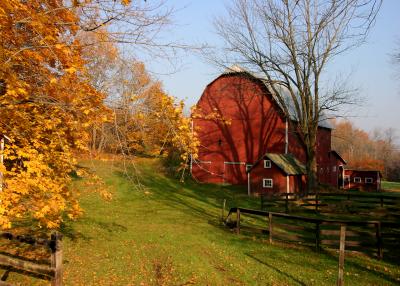 Chatham_Barn.jpg