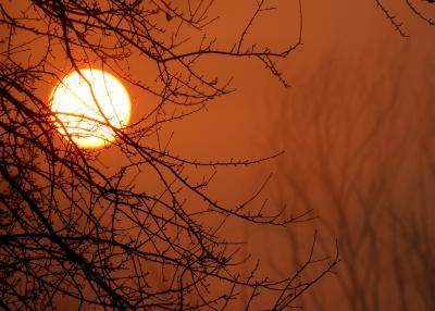 Chatham_Sun.jpg