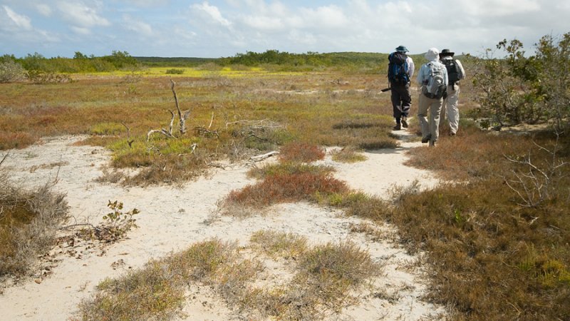 DSC_6020.jpg
