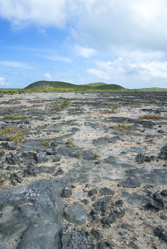 DSC_6047.jpg