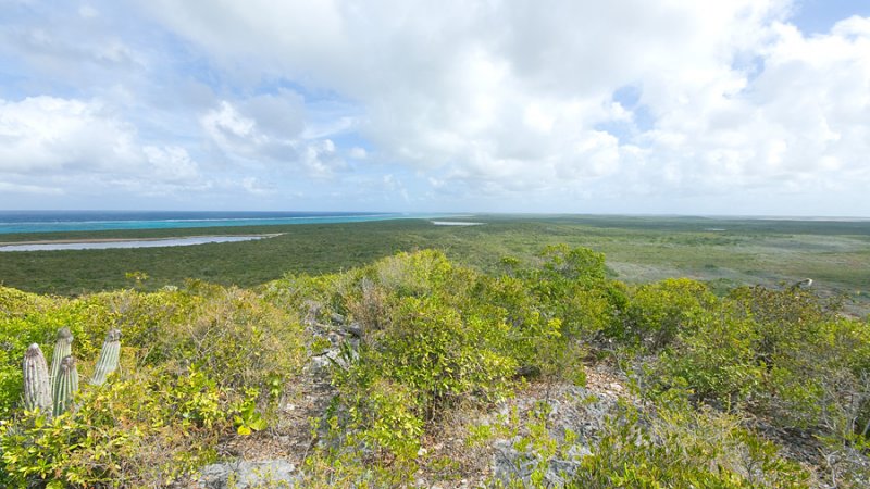 DSC_6082.jpg