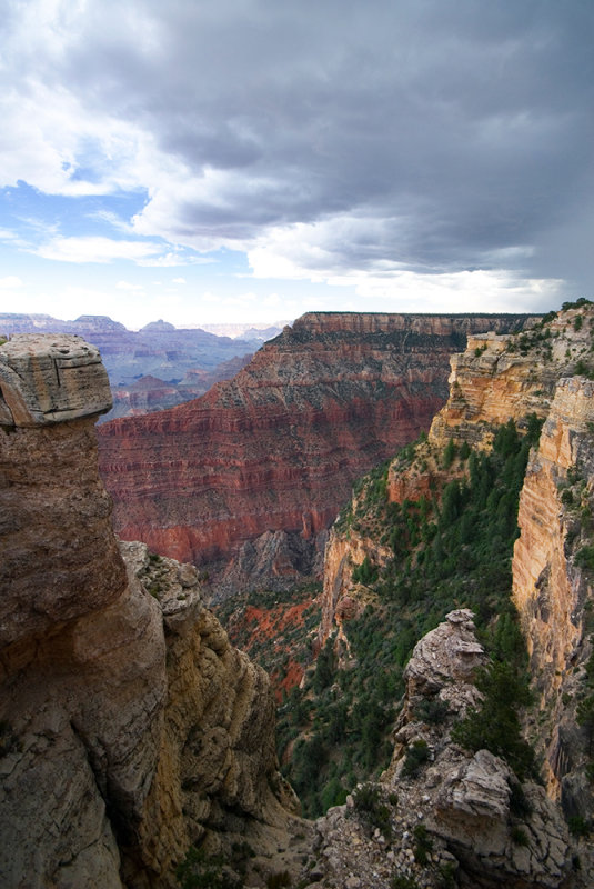 _DSC5925.jpg