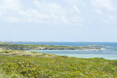 DSC_8856.jpg