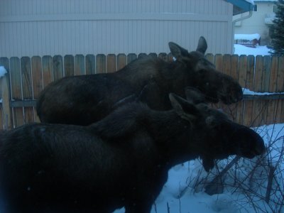 DSCN2087.JPG