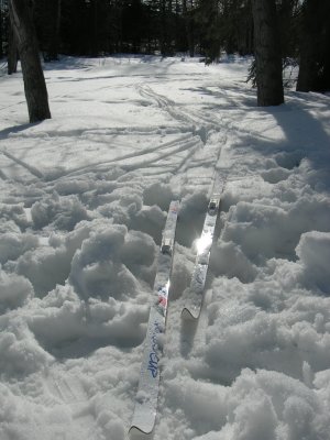 DSCN2980.JPG