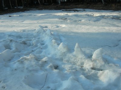 DSCN3228.JPG
