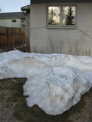 DSCN3318.JPG