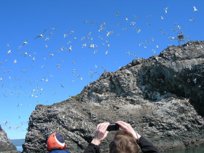 DSCN4030.JPG