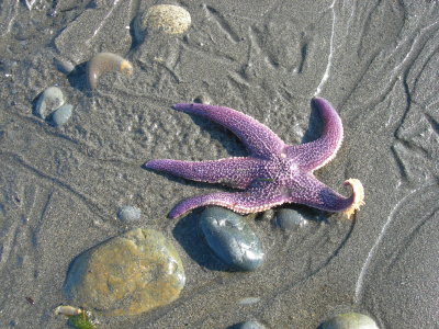 DSCN4513.JPG