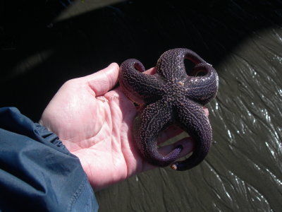 DSCN4672.JPG