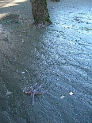 DSCN4640.JPG