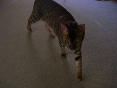DSCN5386.JPG