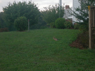 Outside our state in July 2012