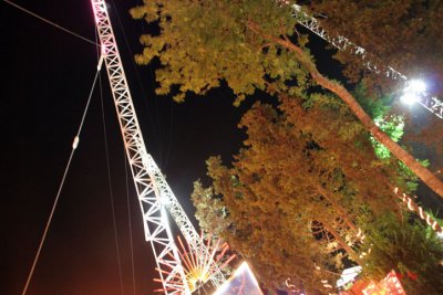 Saut a l'lastique....