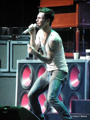 Adam Levine & Maroon 5