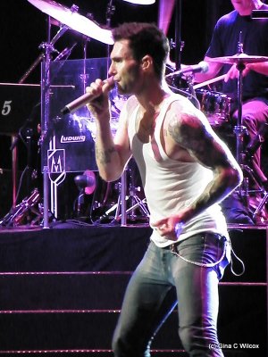 Adam Levine & Maroon 5