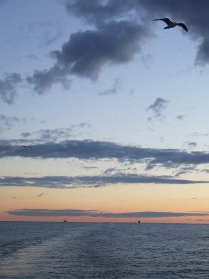 Sunset in the Gulf of Finland