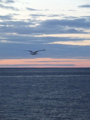 Sunset in the Gulf of Finland